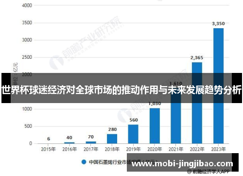 世界杯球迷经济对全球市场的推动作用与未来发展趋势分析