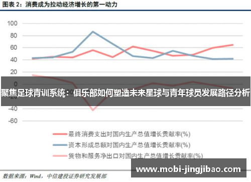 聚焦足球青训系统：俱乐部如何塑造未来星球与青年球员发展路径分析