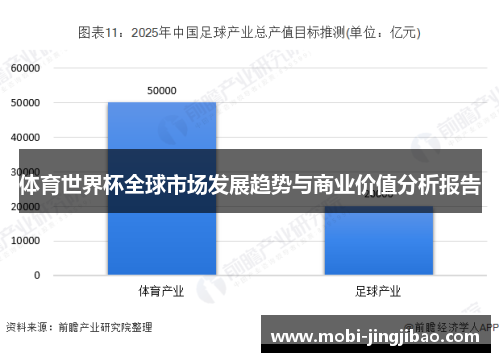 体育世界杯全球市场发展趋势与商业价值分析报告