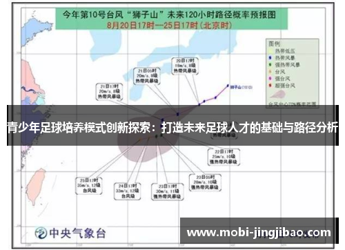 青少年足球培养模式创新探索：打造未来足球人才的基础与路径分析