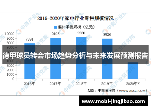 德甲球员转会市场趋势分析与未来发展预测报告