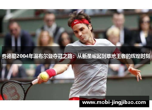 费德勒2004年温布尔登夺冠之路：从新星崛起到草地王者的辉煌时刻
