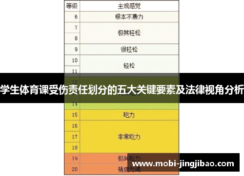 学生体育课受伤责任划分的五大关键要素及法律视角分析