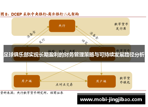 足球俱乐部实现长期盈利的财务管理策略与可持续发展路径分析