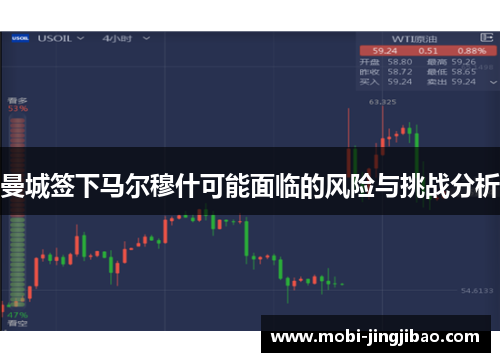 曼城签下马尔穆什可能面临的风险与挑战分析