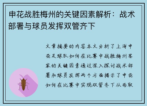申花战胜梅州的关键因素解析：战术部署与球员发挥双管齐下