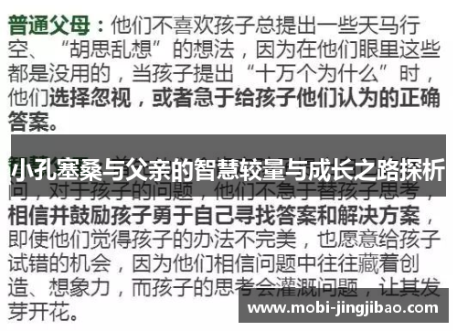 小孔塞桑与父亲的智慧较量与成长之路探析