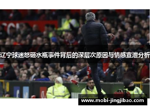 辽宁球迷怒砸水瓶事件背后的深层次原因与情感宣泄分析