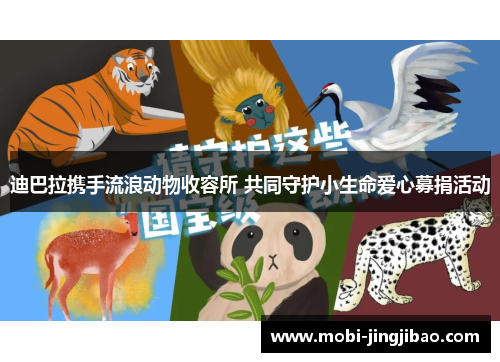 迪巴拉携手流浪动物收容所 共同守护小生命爱心募捐活动