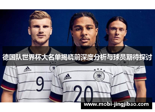 德国队世界杯大名单揭晓前深度分析与球员期待探讨