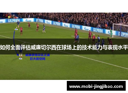 如何全面评估威廉切尔西在球场上的技术能力与表现水平